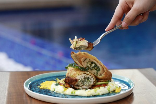 Welche Haustiere sind am besten für kleine Wohnungen geeignet?