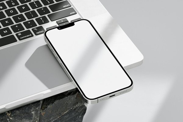 Dein Immunsystem stärken: Der Schlüssel zu einem erfolgreichen Jahr